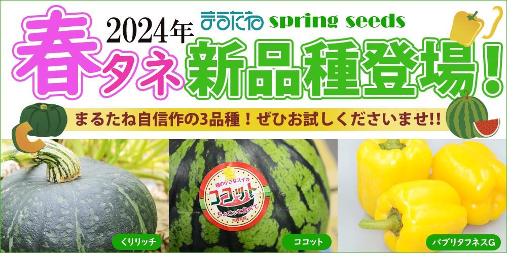 丸種オンラインショップ 野菜種子販売